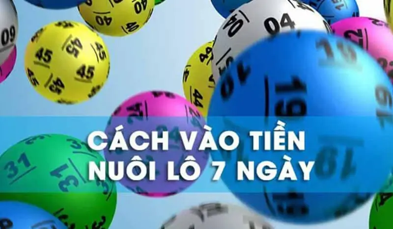 Cách vào tiền nuôi lô khung 7 ngày không sợ lỗ