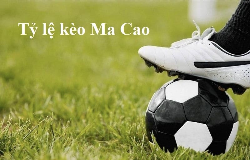 Những điều cần phải biết trước khi muốn tham gia trải nghiệm cược Macao